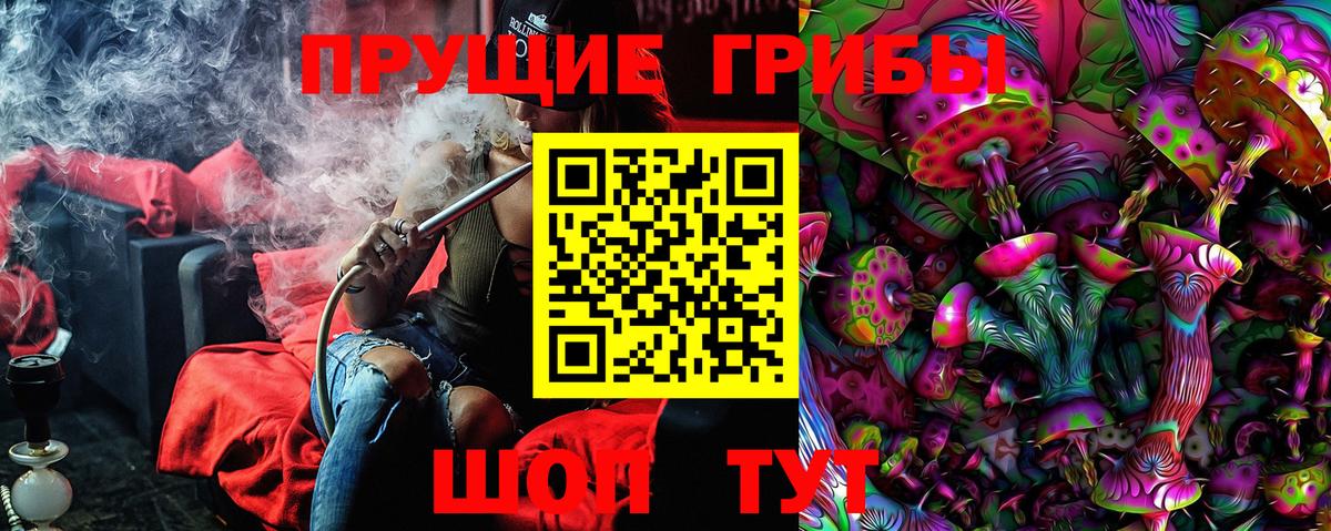 Галлюциногенные грибы Psilocybine cubensis Нововоронеж