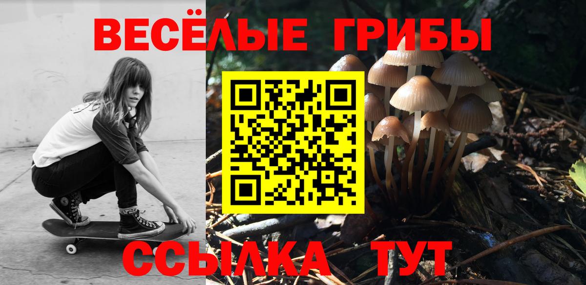 даркнет сайт  Вход с VPN  Нововоронеж  Галлюциногенные грибы GOLDEN TEACHER 