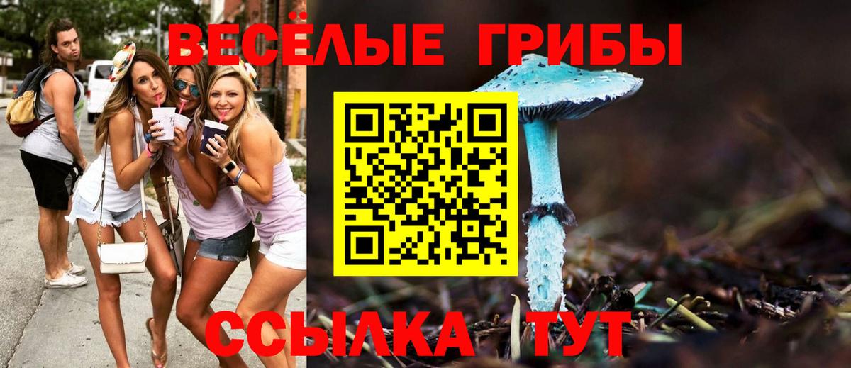 Галлюциногенные грибы ЛСД Нововоронеж