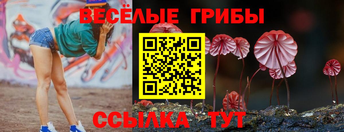 Героин Нововоронеж